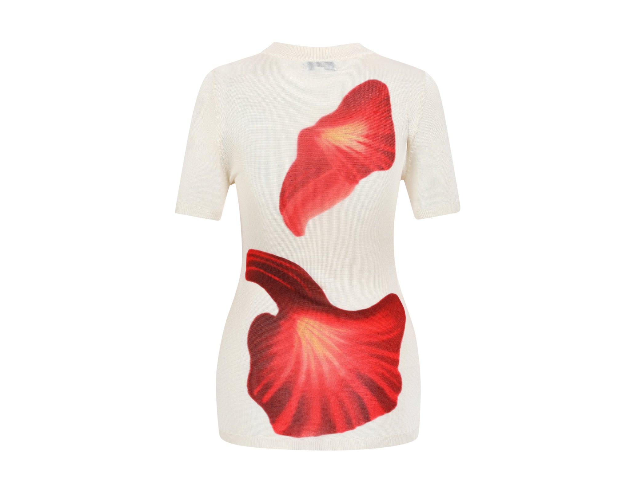 Printed Quinn Short Sleeve Tshirt-Red Mushroom Print