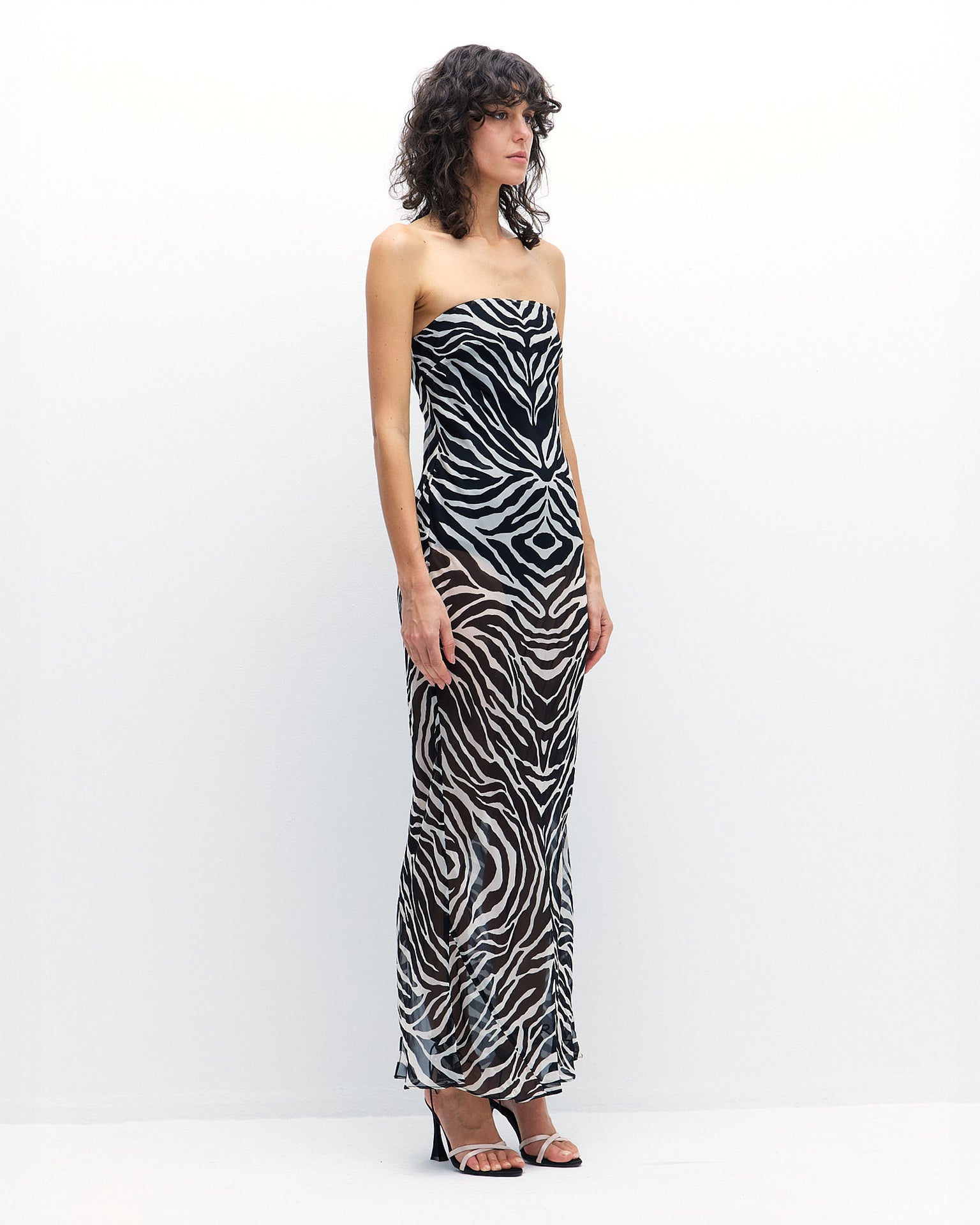 Raya Dress in Zebra Print